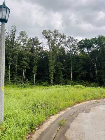 Lot 20 Cascade Dr, Florence, AL 35633