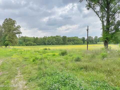 755 Old Mounds Road, Friendship, TN 38034
