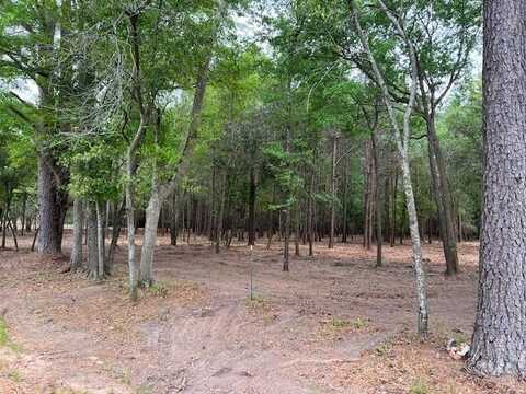 00 Kinsey Road 18+- Acres, Dothan, AL 36303