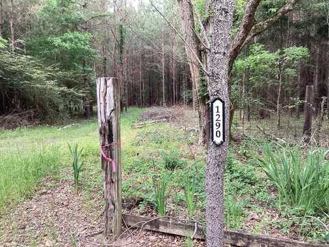 1290 Guy Branch Road, Cottonwood, AL 36320