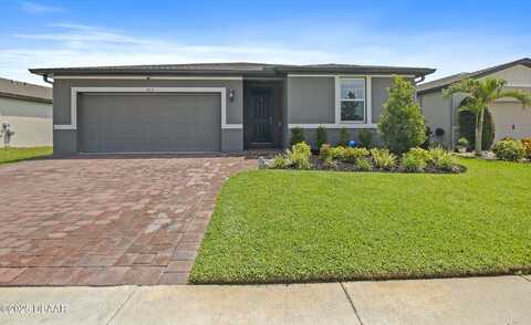 460 Sarah Nicole Way, New Smyrna Beach, FL 32168