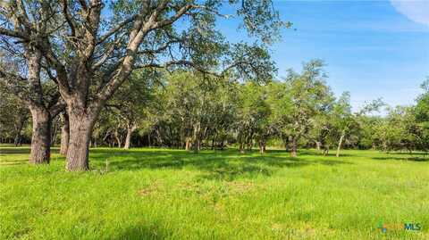 Lot 7 Morning Dew Drive, Round Mountain, TX 78663