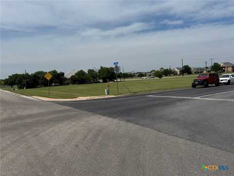 909 Old 1460 Trail, Georgetown, TX 78626