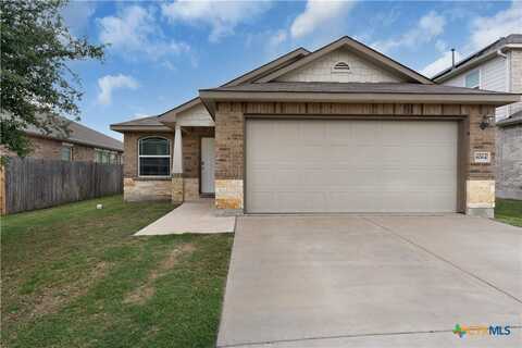 8064 Bassano Drive, Round Rock, TX 78665