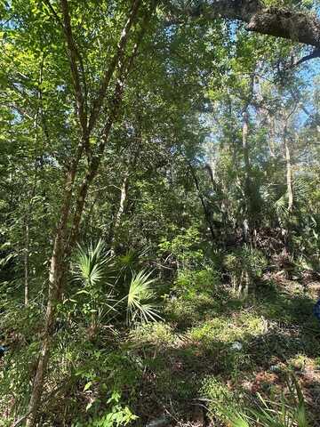 420 558th St, Old Town, FL 32680