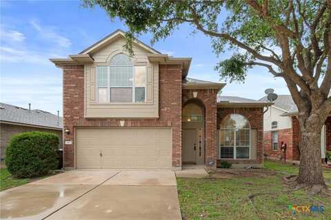 1415 Mickey Mantle Place, Round Rock, TX 78665