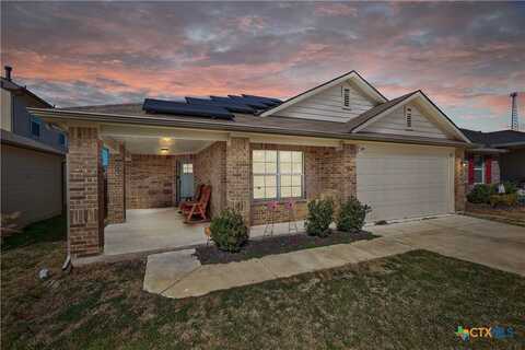 113 Rochester Lane, Hutto, TX 78634