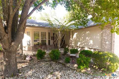279 Whispering Wind Drive, Georgetown, TX 78633