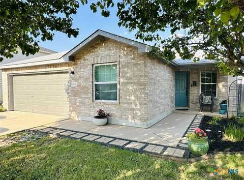 804 Pampas Ricas Drive, Leander, TX 78641