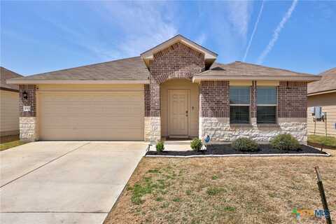 133 Hammond Court, Jarrell, TX 76537