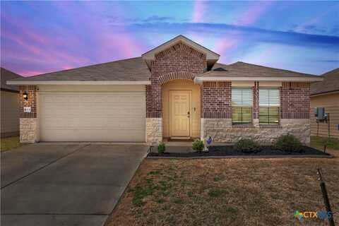 133 Hammond Court, Jarrell, TX 76537
