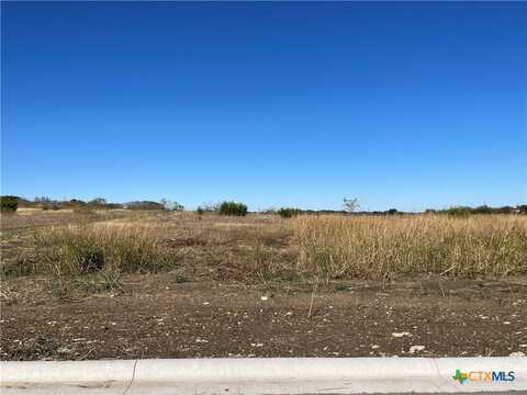 1837 Dorian Drive, Salado, TX 76571