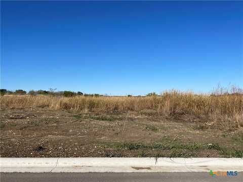 1843 Dorian Drive, Salado, TX 76571