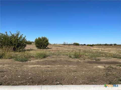 1831 Dorian Drive, Salado, TX 76571