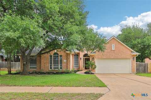 1353 Braided Rope Drive, Austin, TX 78727