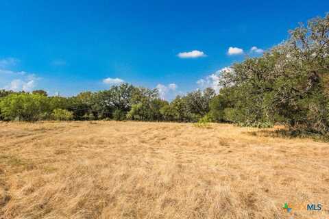 000 Wren Haven Dr, San Marcos, TX 78666