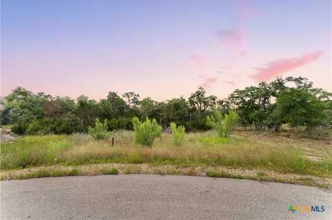 287 Brook Canyon, New Braunfels, TX 78132