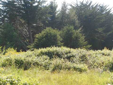 170 Shore Cliff, Crescent City, CA 95531