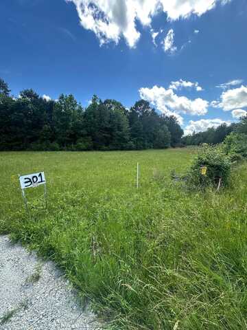 301 Sweet Gum Road, spartanburg, SC 29307