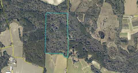 97 acres Sawmill Road, Moultrie, GA 31788