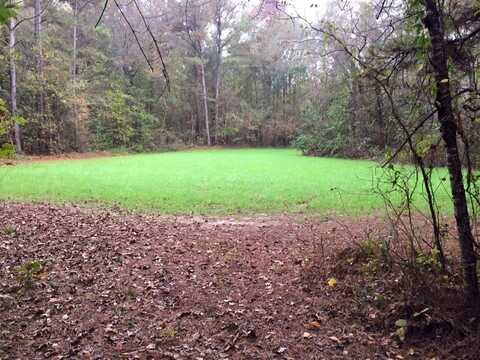 000 Cameron Lane, Moss Point, MS 39652