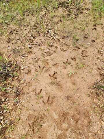 TBD Valley Ln, Summit, MS 39666