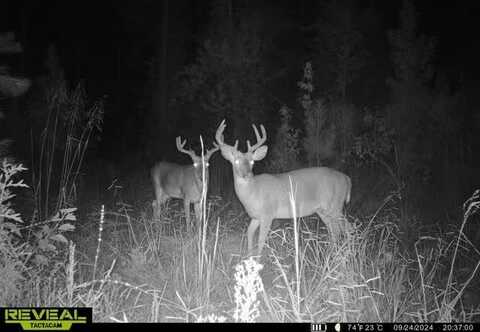 000 Olympia / Lewis Road, Mc Call Creek, MS 39647