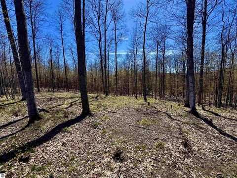 1913 & 1919 N Blue Water Court, Suttons Bay, MI 49682