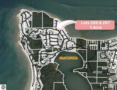 TBD Island Woods Road, Beaver Island, MI 49782