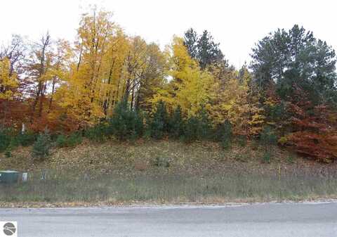 Lot 90 Eden Street, Kingsley, MI 49649