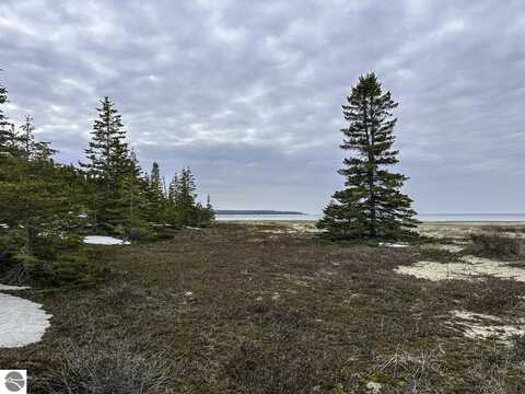 TBD Mrs Reddings Trail, Beaver Island, MI 49782