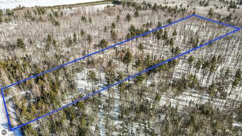 11483 SW Henschell Road, Fife Lake, MI 49633