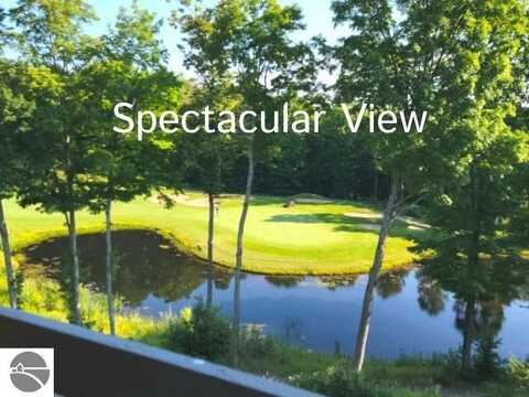 2400 Troon South, Bellaire, MI 49615