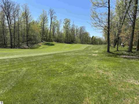 Lot 8 Whitetail Drive, Bellaire, MI 49615