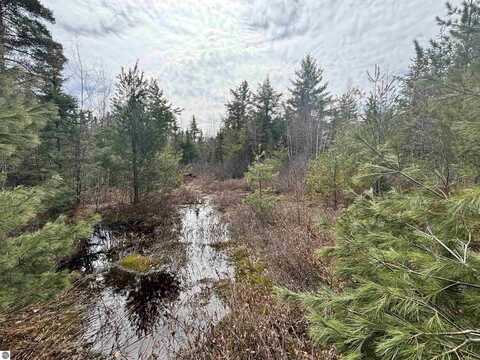 V/L 280A H-40, Rudyard, MI 49780