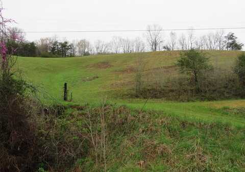 0 KY Route 580, Staffordsville, KY 41256