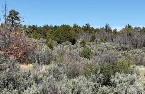 Tbd Calle del Cuervo, Tres Piedras, NM 87577