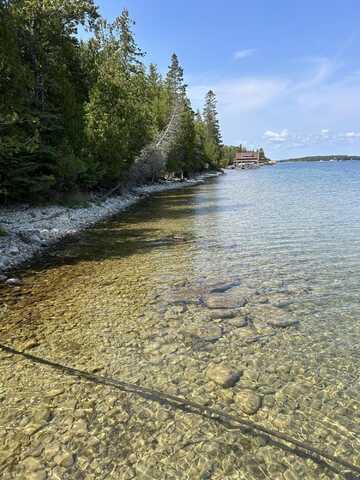 S Coryell Island, Cedarville, MI 49719