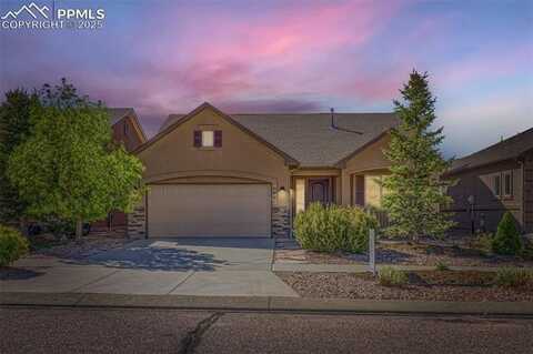 6041 Leon Young Drive, Colorado Springs, CO 80924