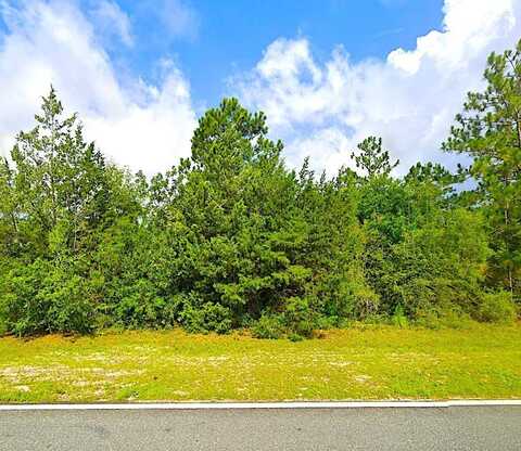0 Fairview Road, Alford, FL 32420