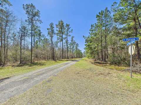 Vacant SW Promenade Avenue, Greenville, FL 32331