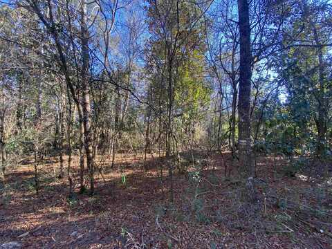 Xxx J K Moore Road, Crawfordville, FL 32327