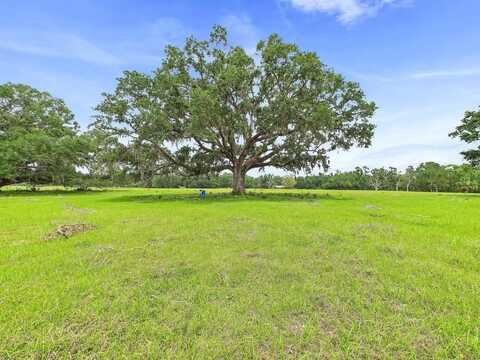 Vacant Woods Creek Road, Perry, FL 32347