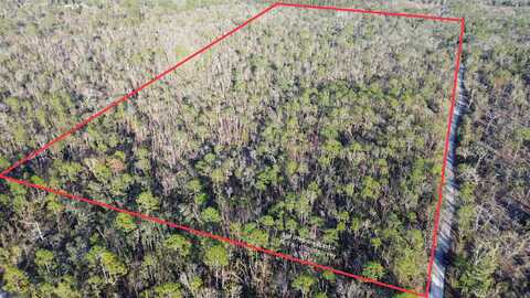000 Clearwater Creek Lane, Perry, FL 32348