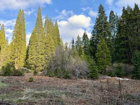 Sequoia Drive, Springville, CA 93265