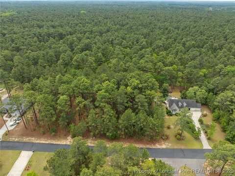 36 Wildlife Lane, Wagram, NC 28396