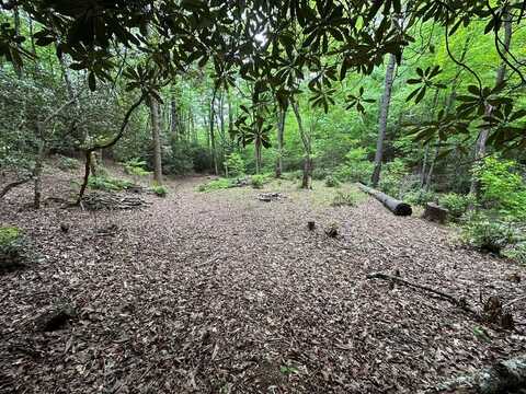 Diamond Creek Road, OTHER, NC 28747