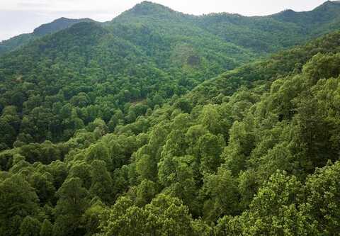Pauline dr, Bryson City, NC 28713