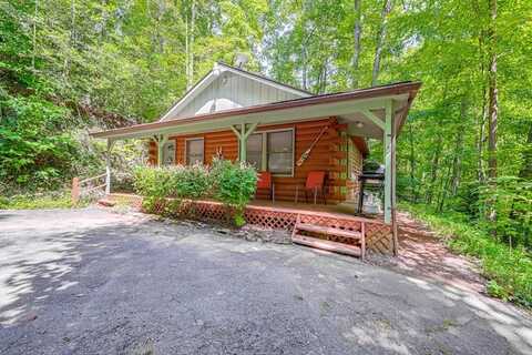 1500 Mountain Laurel Rd, Whittier, NC 28789