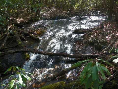 Wilkes Knob, Franklin, NC 28734